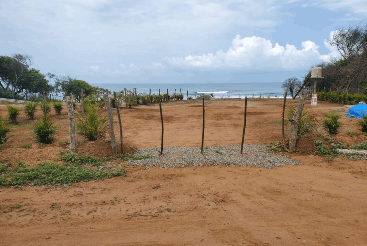 beachfront-palo-alto-lots-for-sale