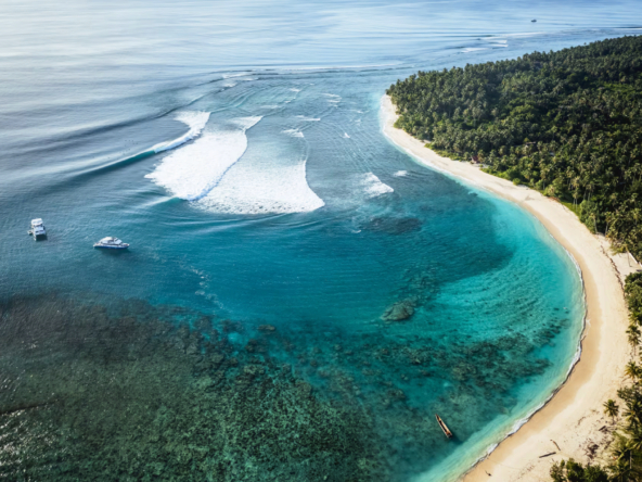 hollow-trees-resort-mentawai-islands