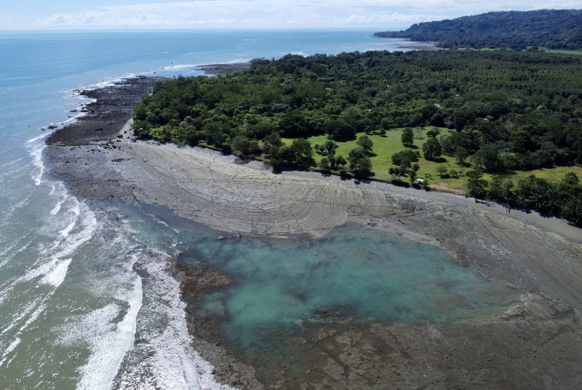 surf-front-property-osa-peninsula-1