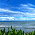 charming-osa-peninsula-beachfront-eco-resort