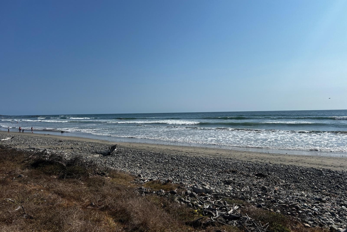 estrella-del-mar-development-saladita-mexico