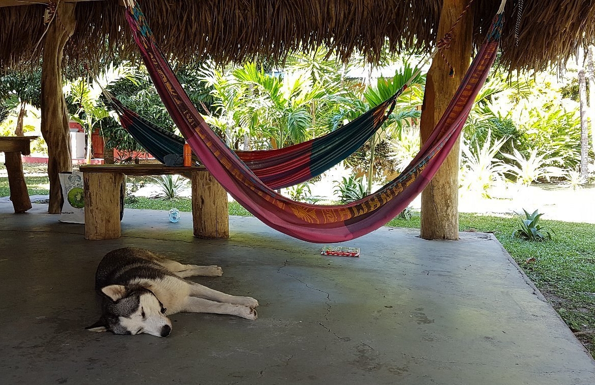 el-ranchito-surf-camp-school-for-sale