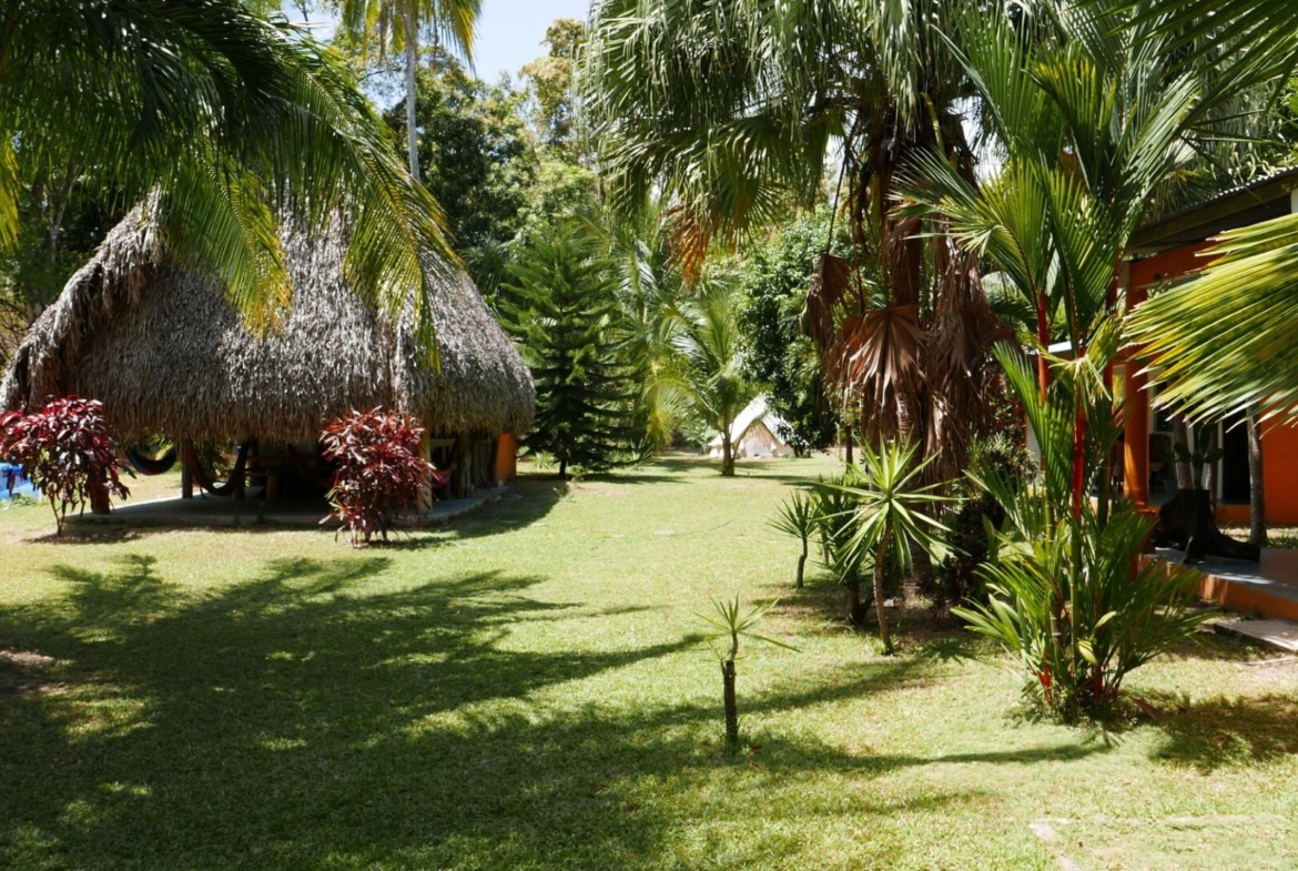 el-ranchito-surf-camp-school-for-sale