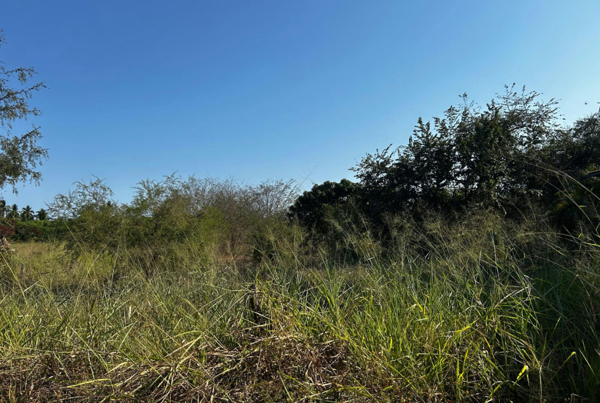 lote-el-pueblo-saladita