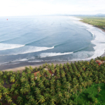 playa-saladita-aireal-waves