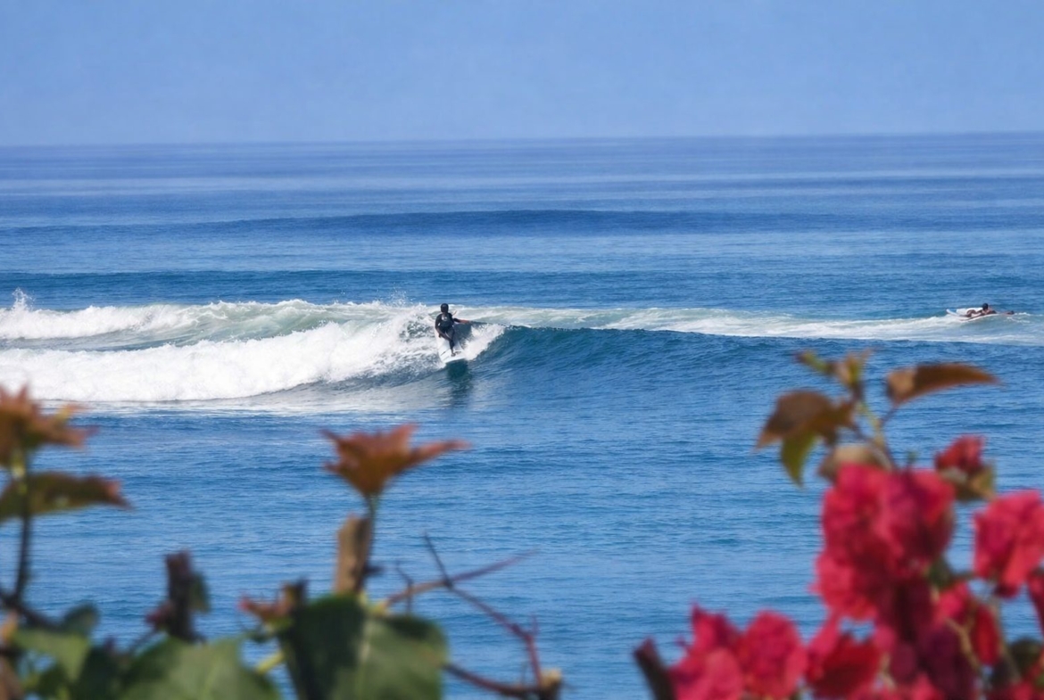 casa-sirena-saladita
