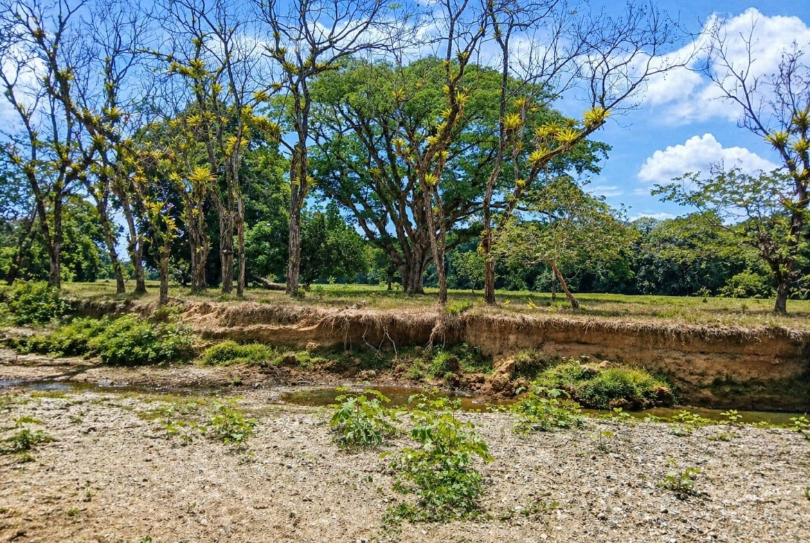 pixvae-veraguas-panama-ocean-view-land-for-sale