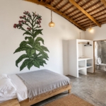 15-room-kite-house-cabarete-hotel-for-sale