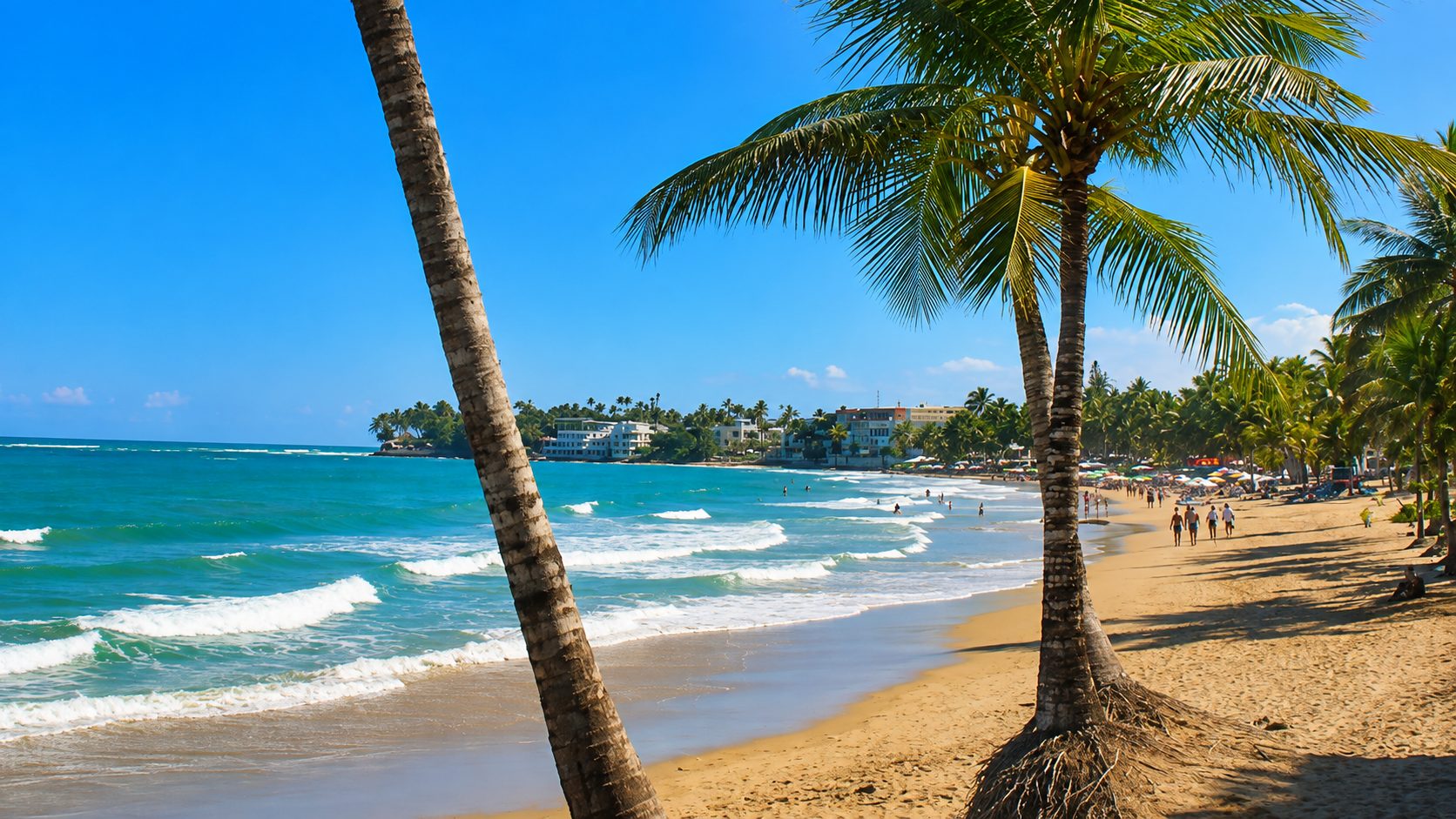 15-room-kite-house-cabarete-hotel-for-sale